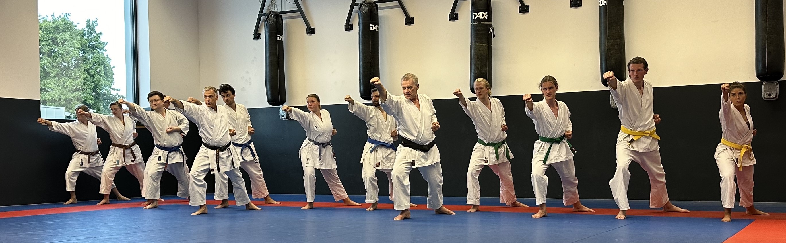 Karatetraining